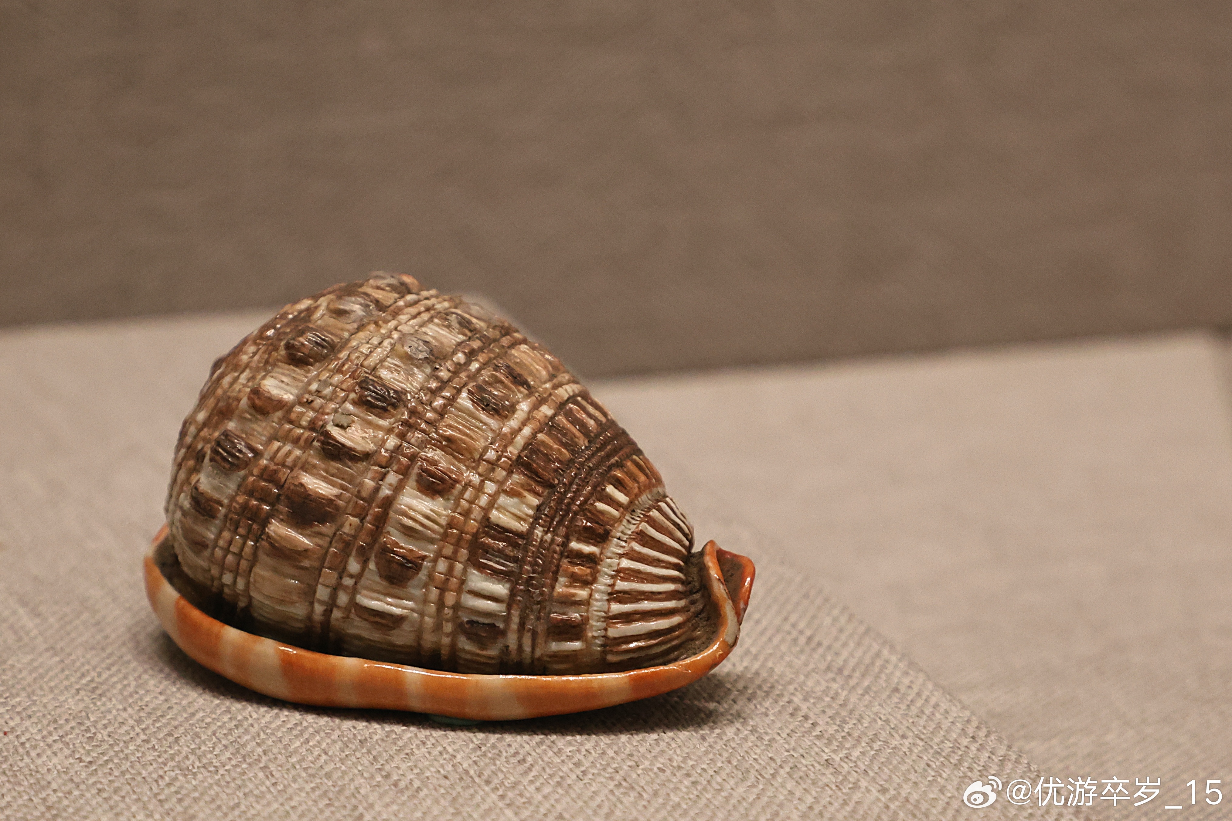 我的2026 粉彩像生瓷海螺清乾隆（公元1736-1795年）故宫博物院藏海螺高