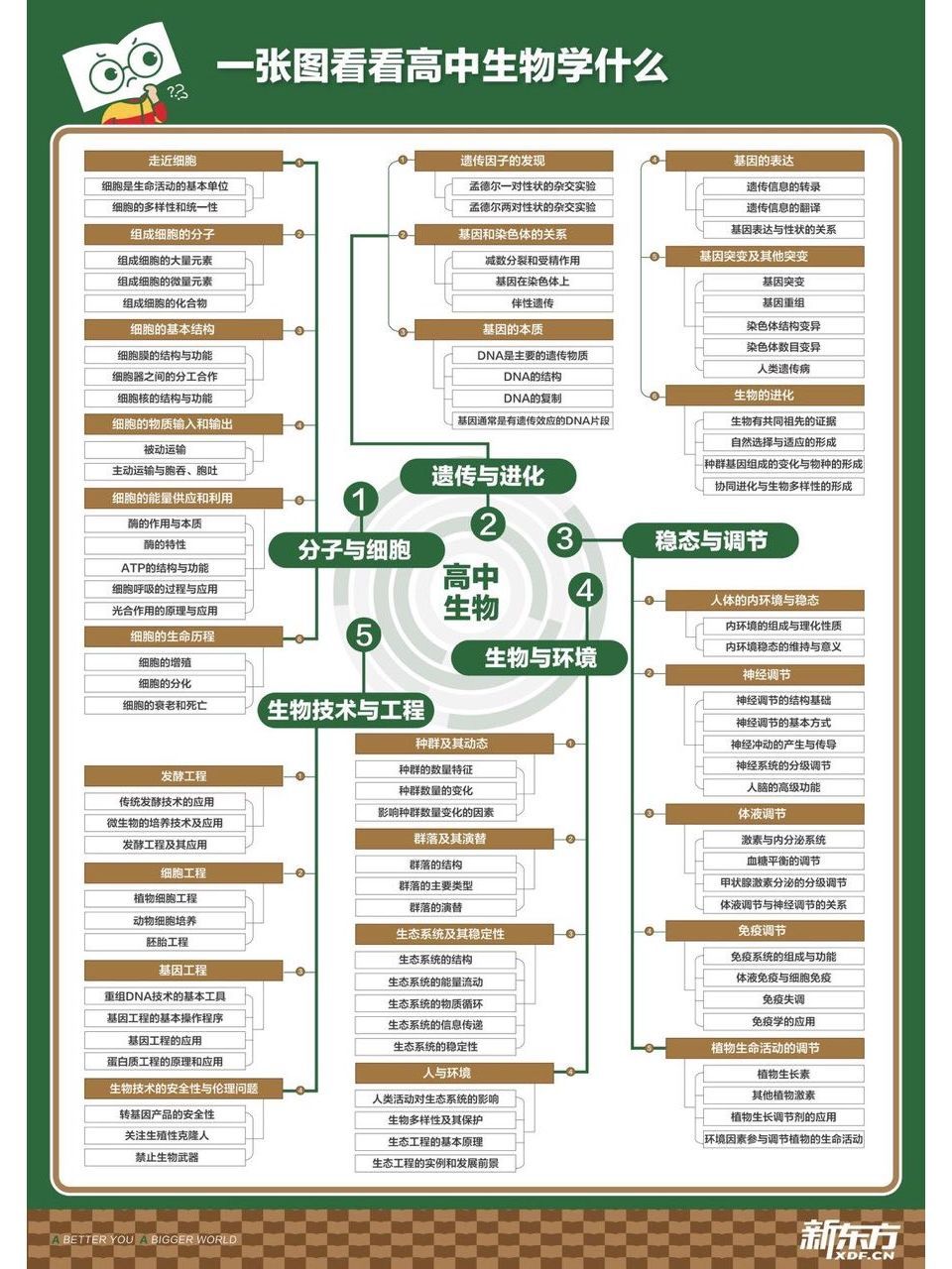 高中九科思维导图，一图在手，知识点全有 ​​​