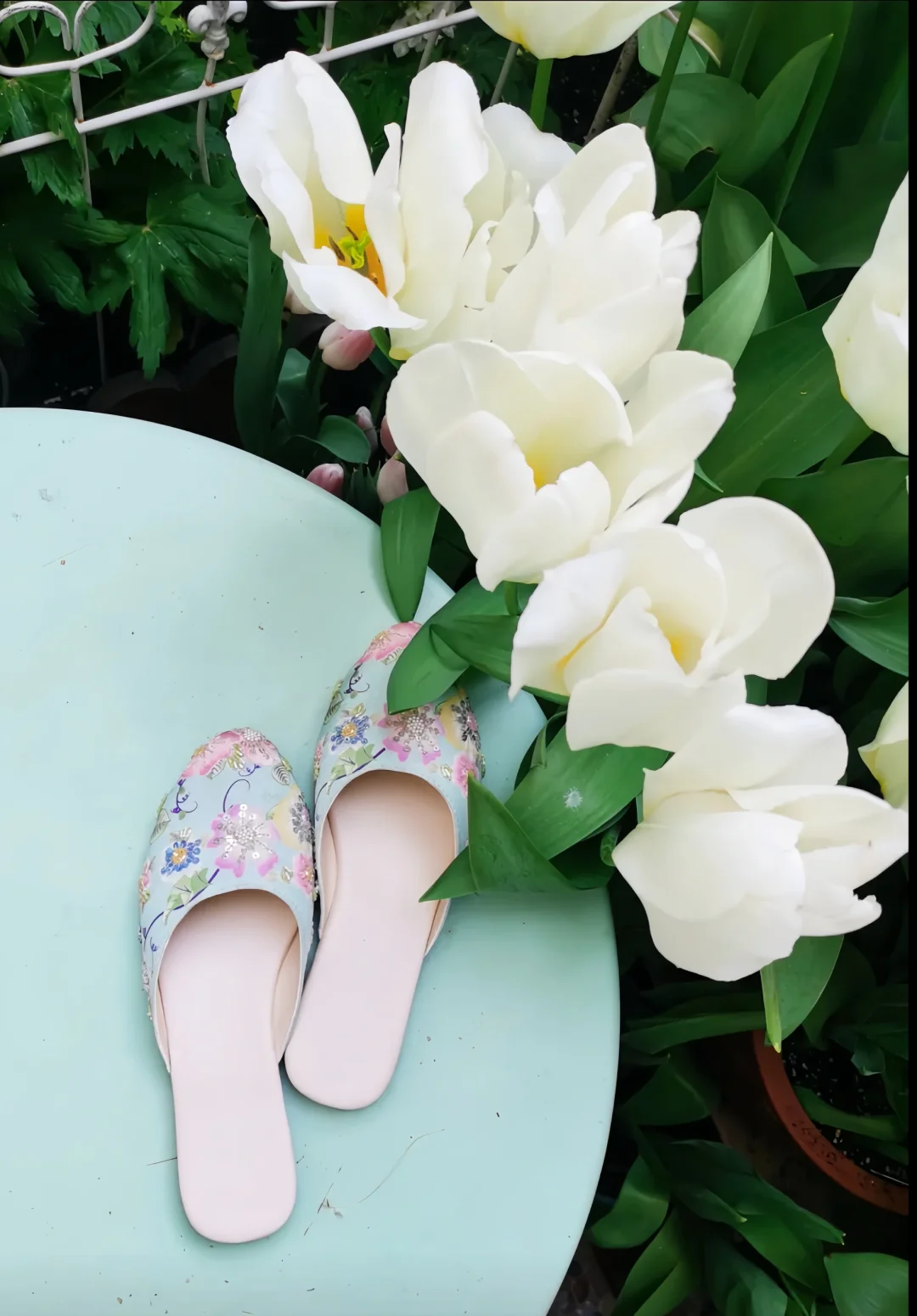 夏天里的白月光和花拖🌼