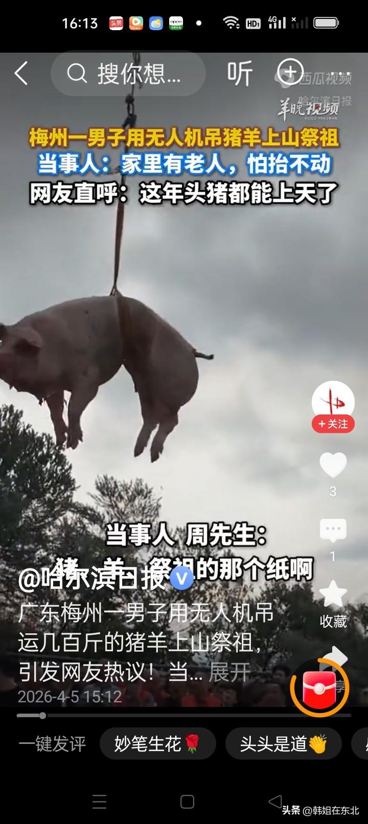这年头猪都上天了！广东梅州的周先生清明祭祖可太有创意了，他居然用无人机吊运几百斤