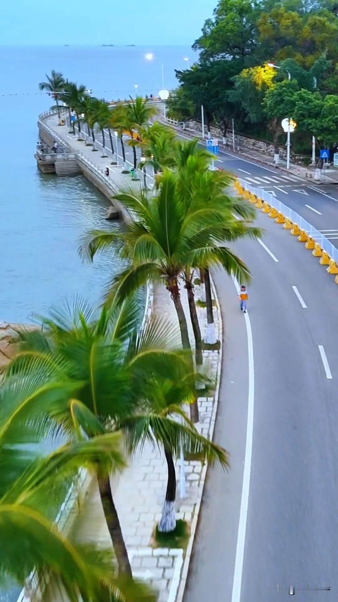 哎呀妈呀老铁！五一来珠海溜达一圈，那心情老敞亮了～
海风一吹椰树一排排，海边公路