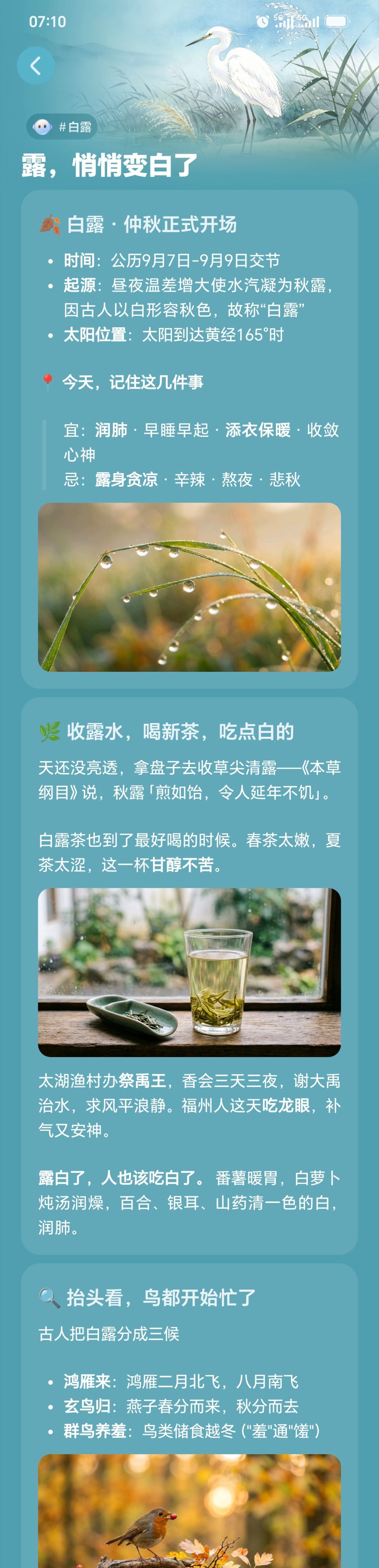 今日白露节了。秋天来了每天早起打卡 ​​​