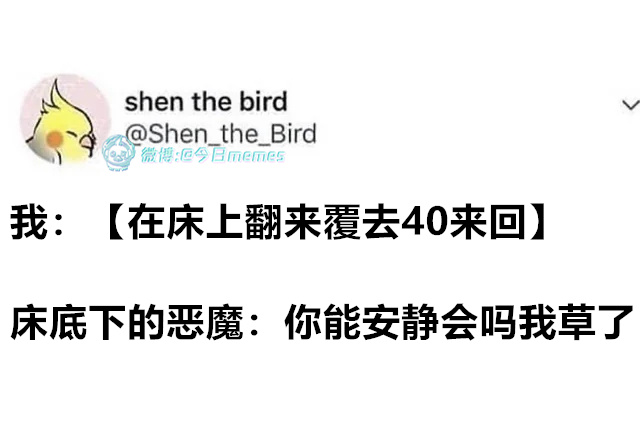 煎鱼呢（Shen_the_Bird）今日meme 今日memes