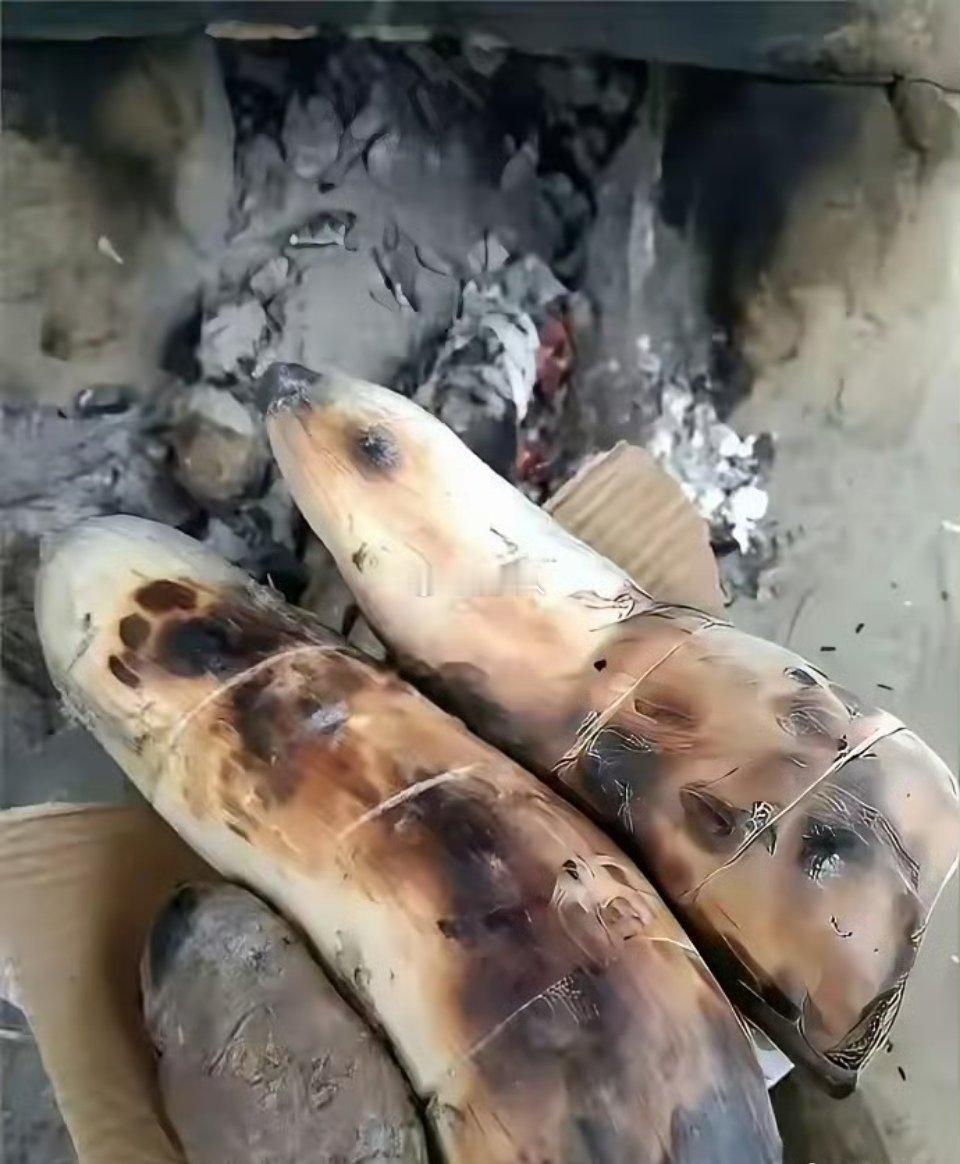 这是什么东西？看起来很好吃的样子 