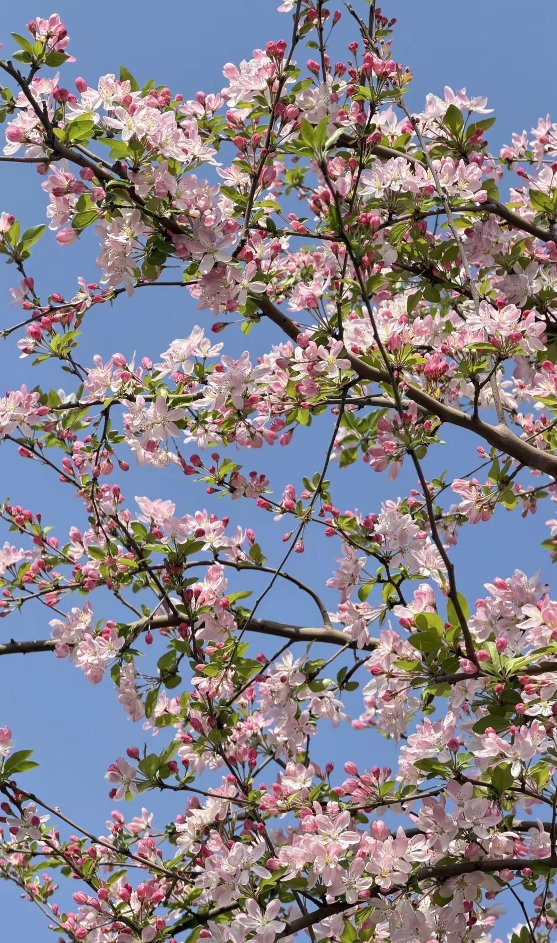 奇奇怪怪的的调调….