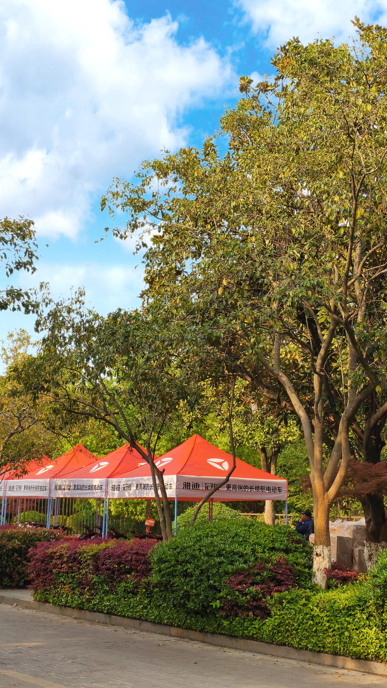 以往重点班让孩子早早承受压力，还加剧教育内卷。取消后，普通孩子也能享受公平教育，