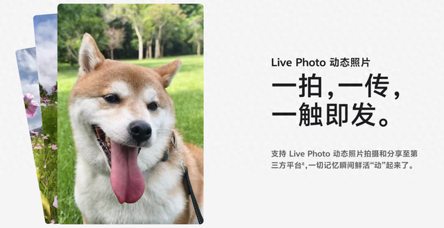 啧啧，微信刚刚这波更新，安卓鸿蒙又要傻眼了