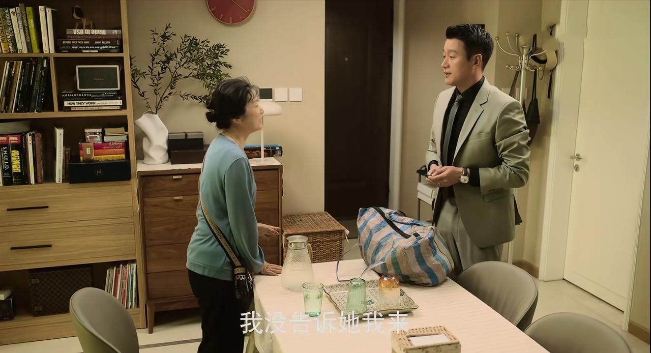 苏苏妈妈穿的很体面，拿的行李袋却有点老土，看起来既不像城市人又不像农村人。
#玫