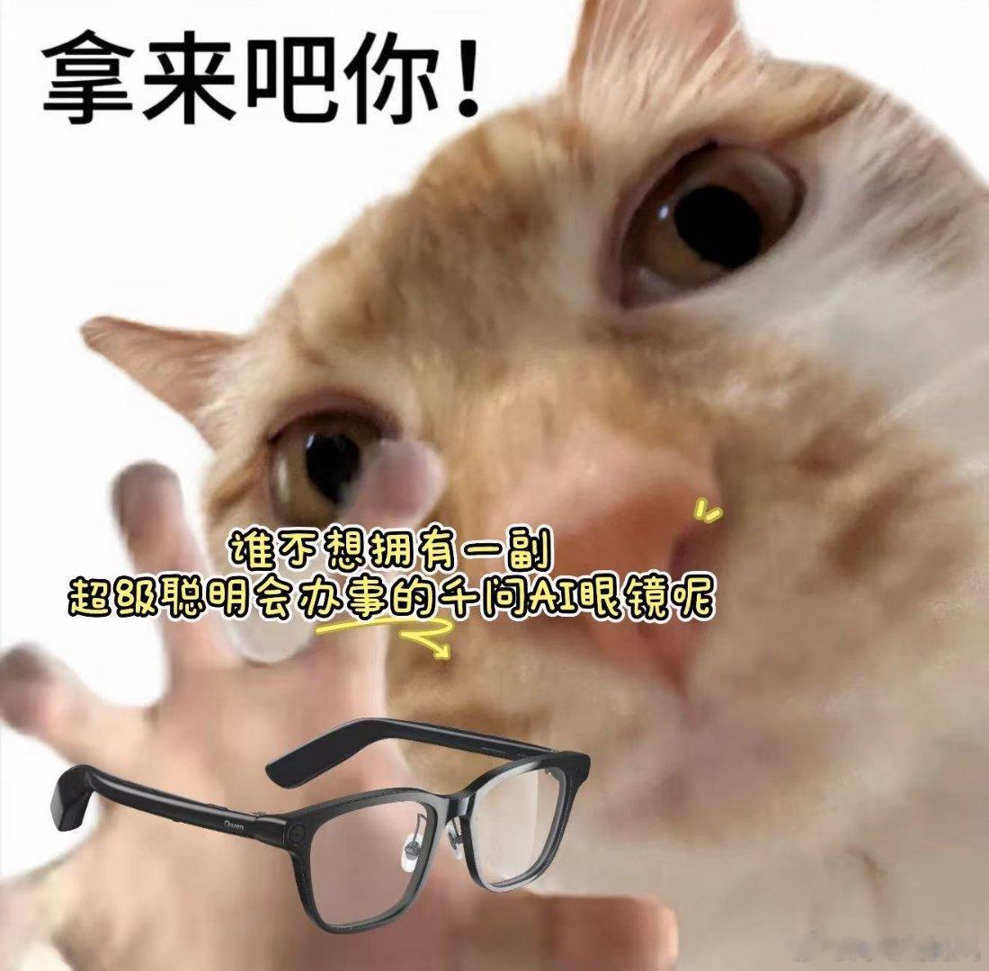 千问一句话买眼镜下单成功！以后开会就带着千问眼镜做会议纪要了，转写精准、要点清晰