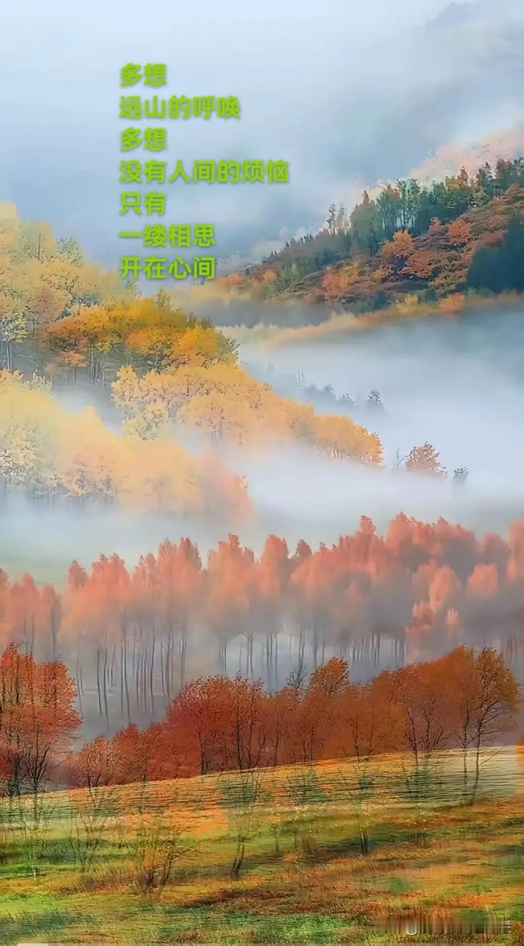 《北方的雪落在我的骨缝里》

北方的雪落在我的骨缝里
每一片都带着
锋利的记忆