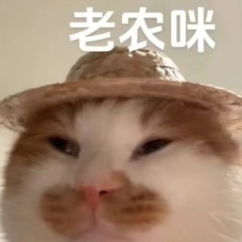 视频看完了里面加了什么东西好累，见缝插针的练舞练歌还练弹琴，学舞狮学粤语学尼泊尔