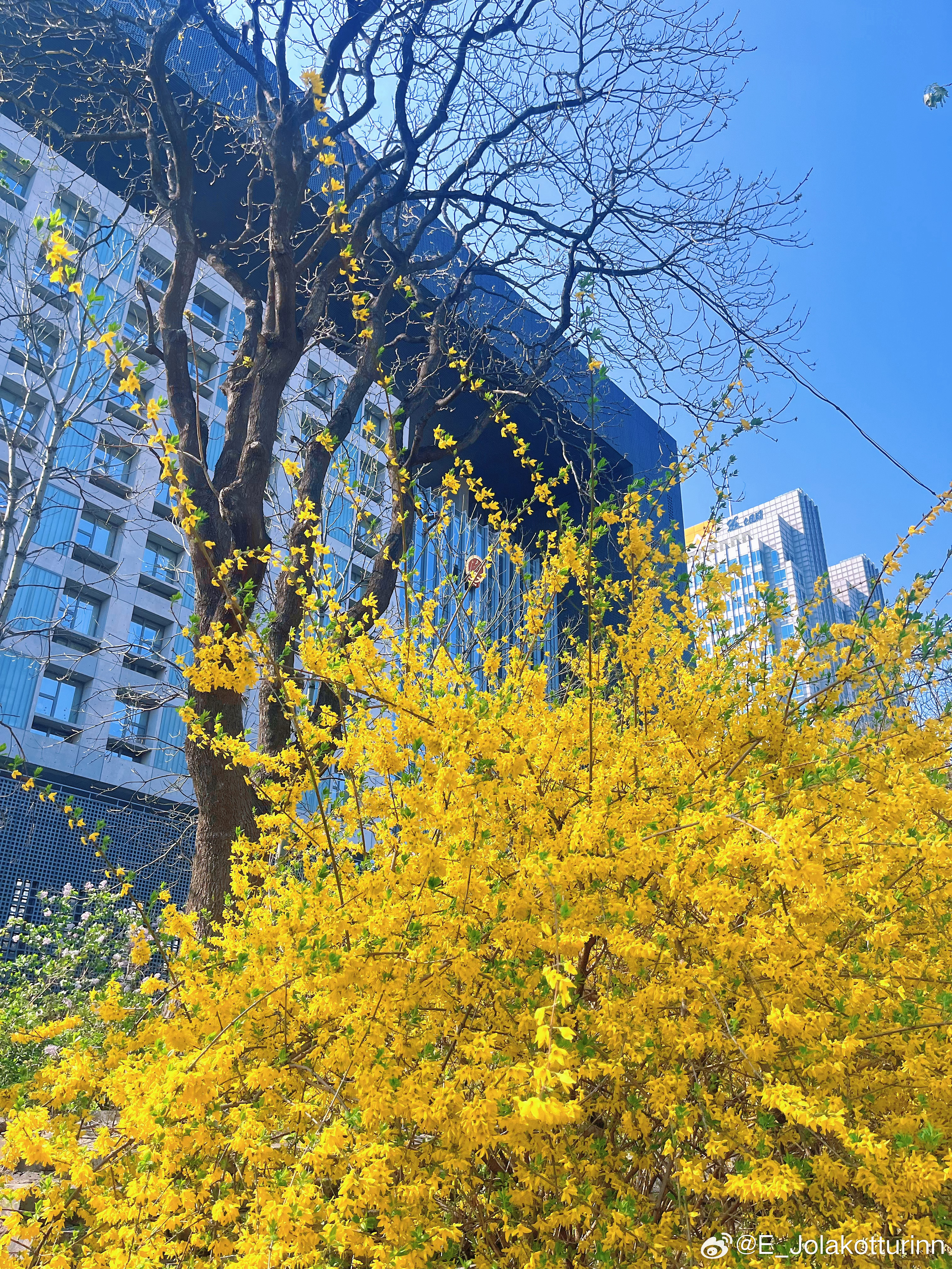 与日本极右翼争夺话语权，为历史作证，揭露真相是一件极有意义，但又极耗心力的事情。