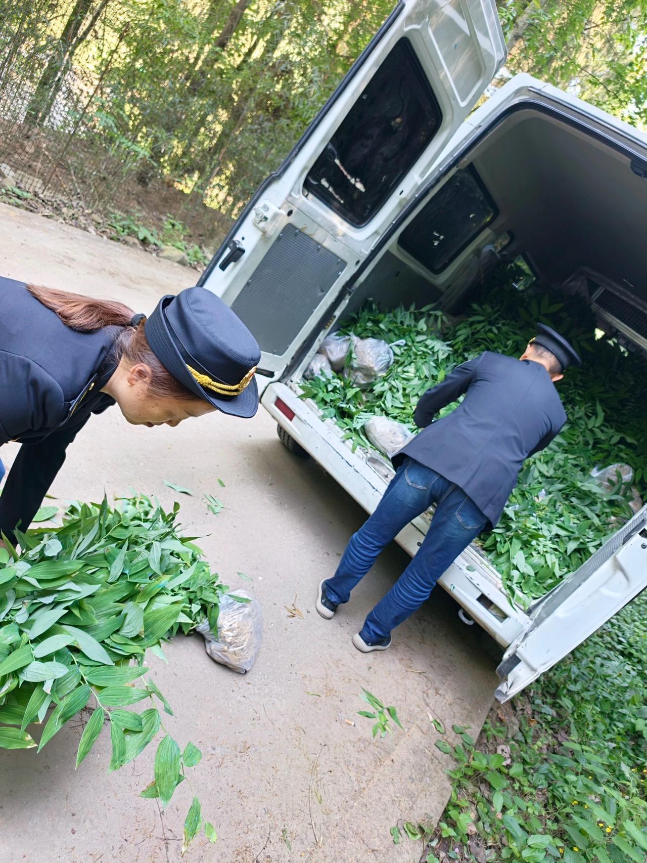 这下不得了 发大财了