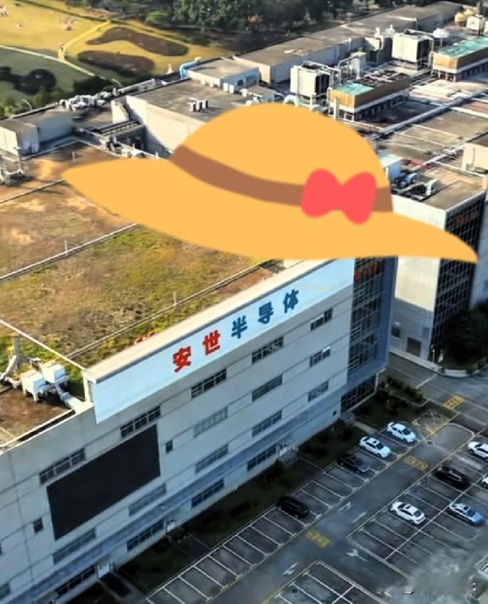 家人们，谁懂啊！
商务部对安世半导体的出口管制，让安世和闻泰的“控制权纠纷”进入