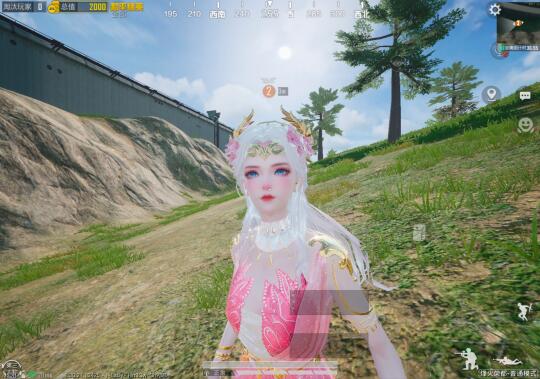 一个十连出了粉色，大家战绩如何？