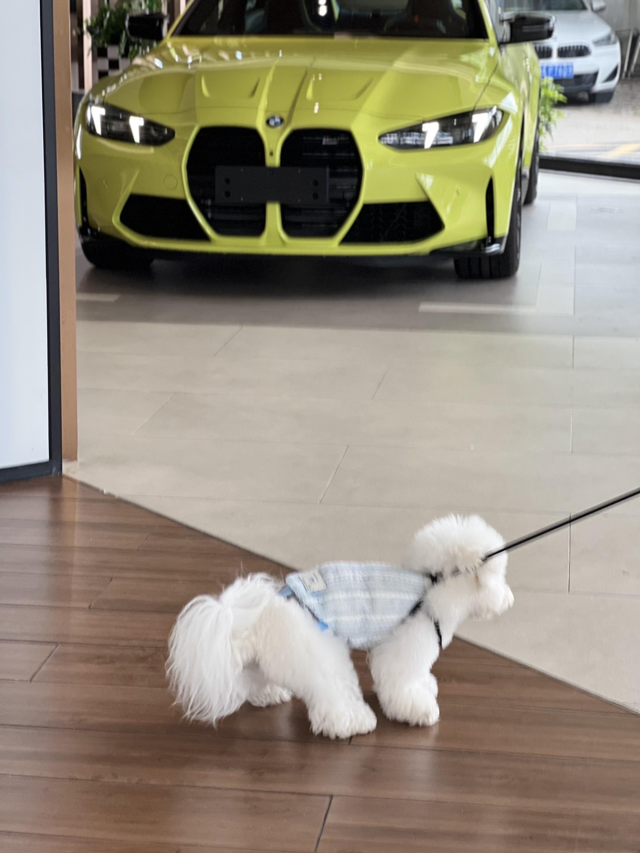 多少个夜晚是看着圣保罗黄m4海报熬过来的。