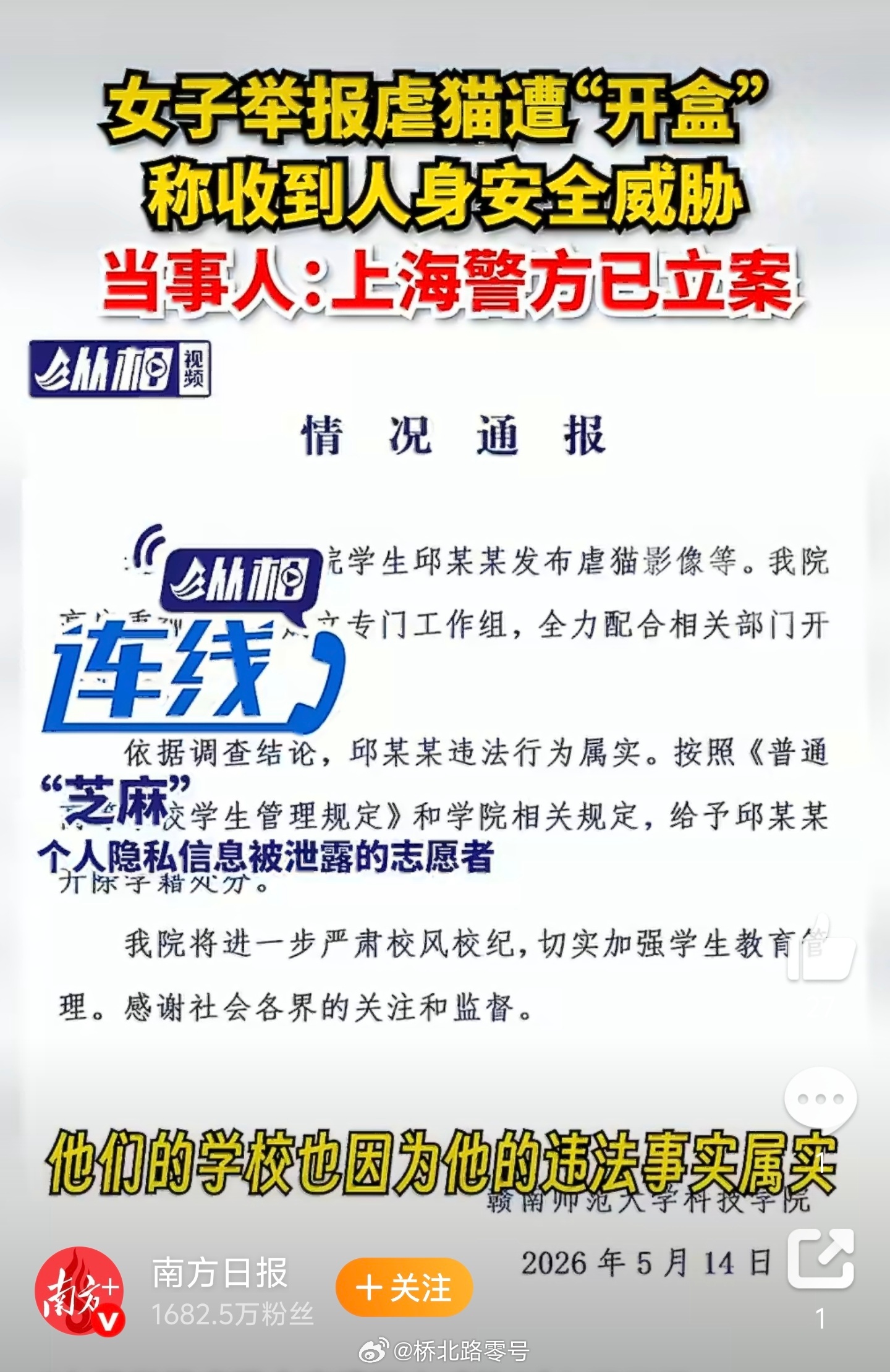 女子举报虐猫全家遭死亡威胁【举报虐猫被开盒女子再遭威胁，对方报出其母全名！警方立