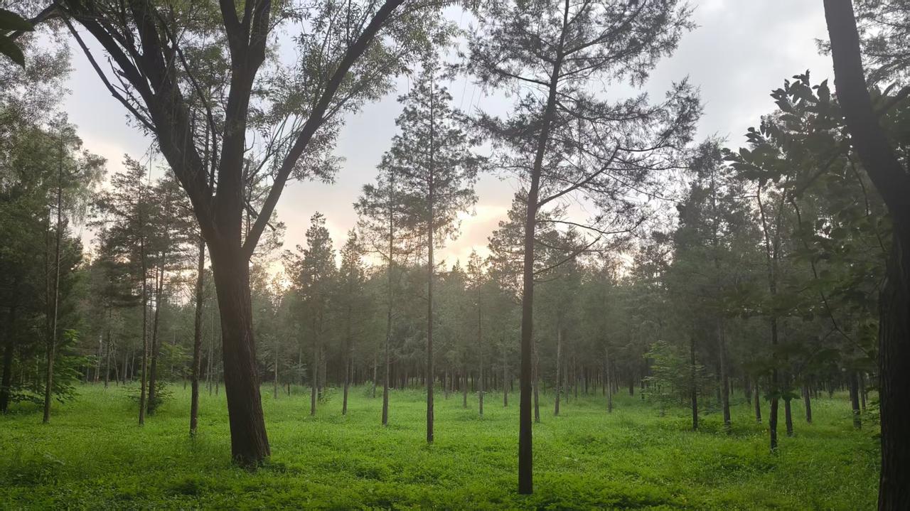 向内松绑，才能善待自己。善待自己最好的十个方式：
很多人以为，善待自己就是吃喜欢