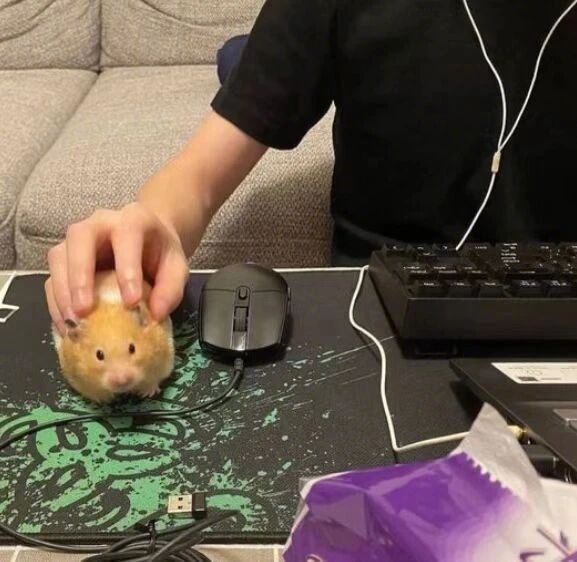 真 的 有 这 么 巧 吗