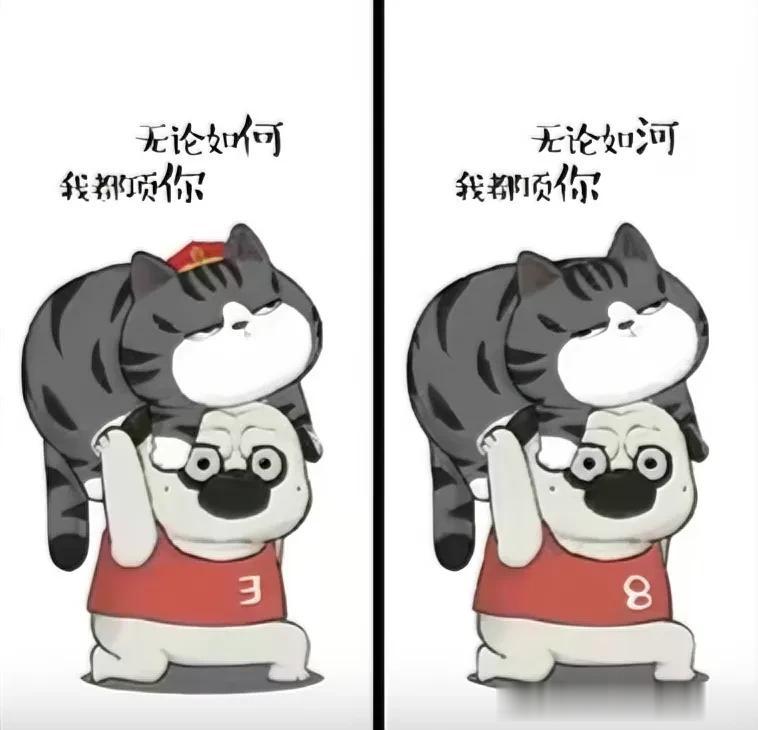 人猫嬉戏，幸福时光
考眼力
仔细找找有10处不同[灵光一闪]