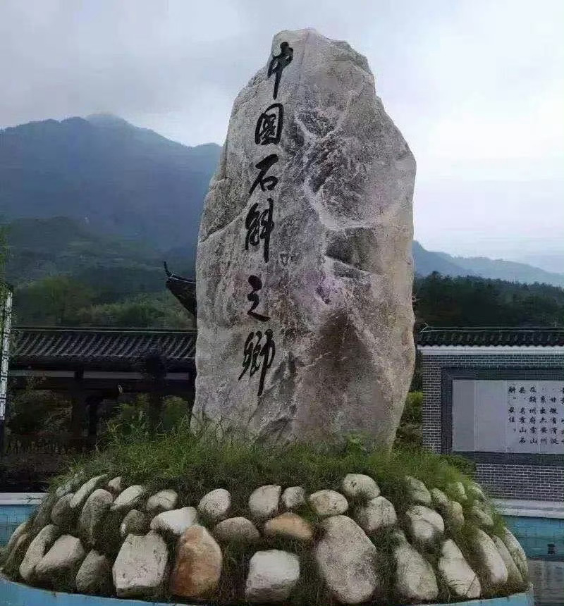 #石头长草成宝惊呆西方大叔##法国大叔说石斛比拉菲好喝#中国人的养生哲学正在全球