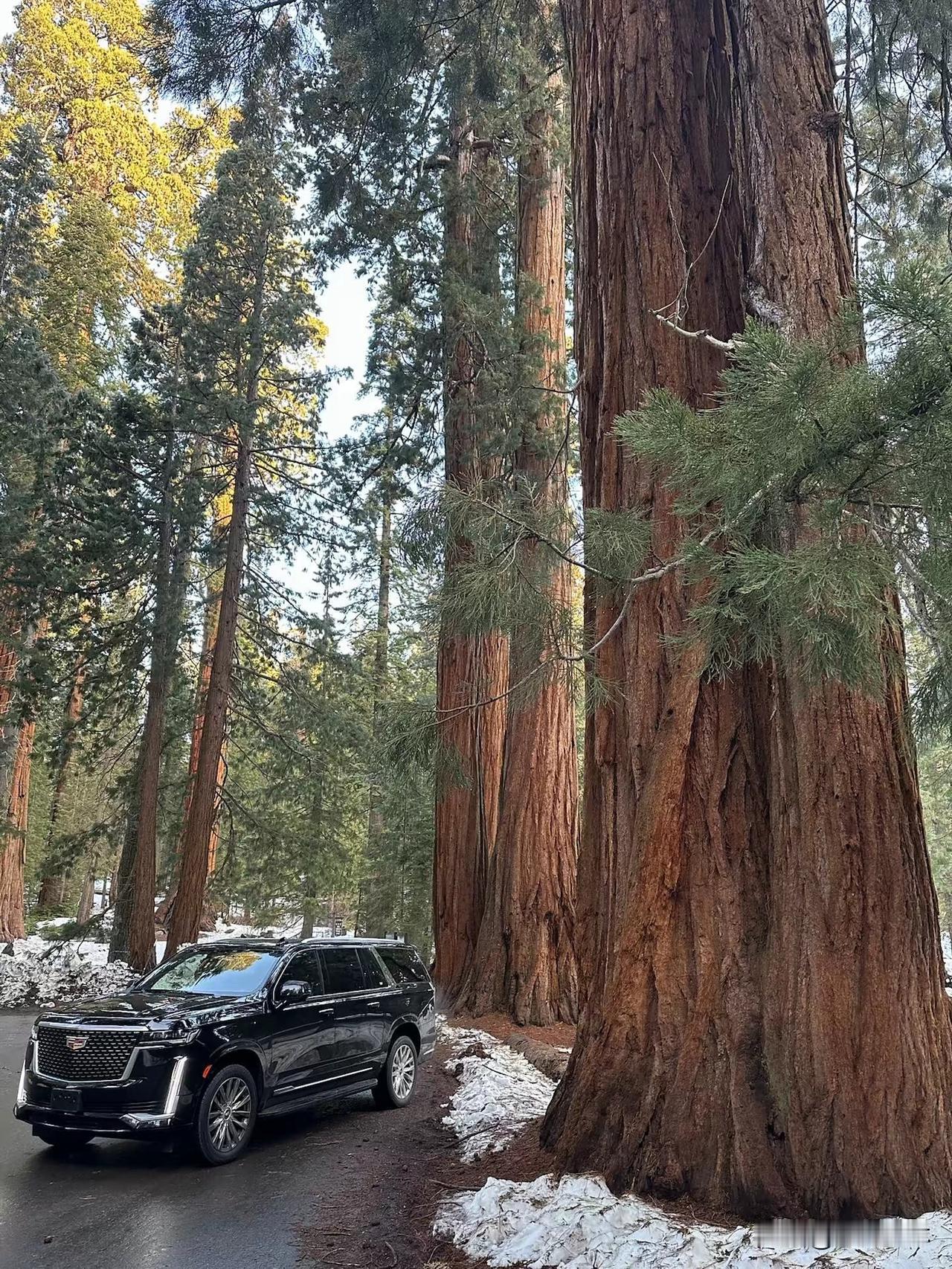 怎样鉴别手工活的真假？
自从我发了手工活的视频
很多人质疑真假
今天直接上干货