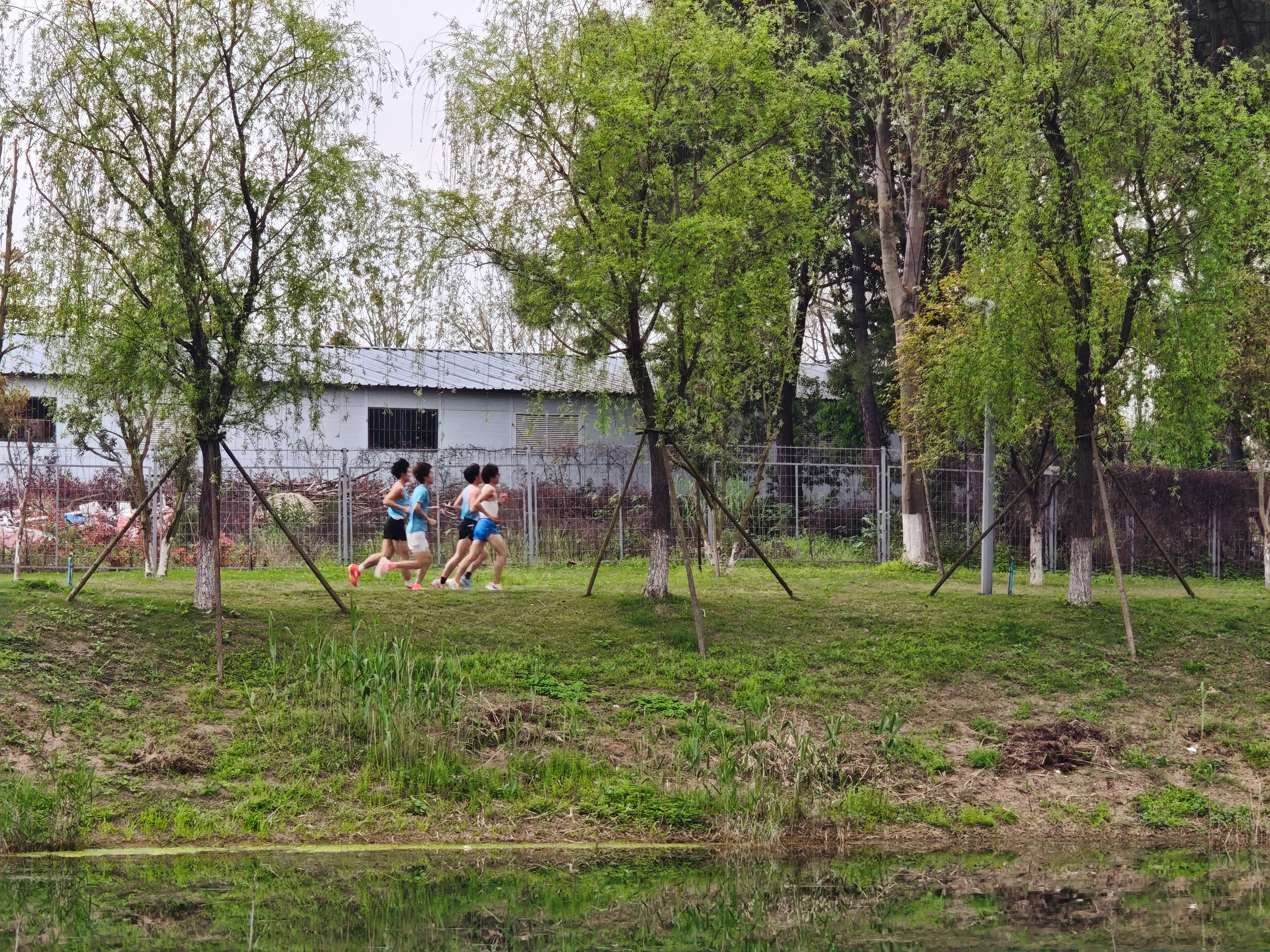 大学时候我也是其中一员，院长跑队