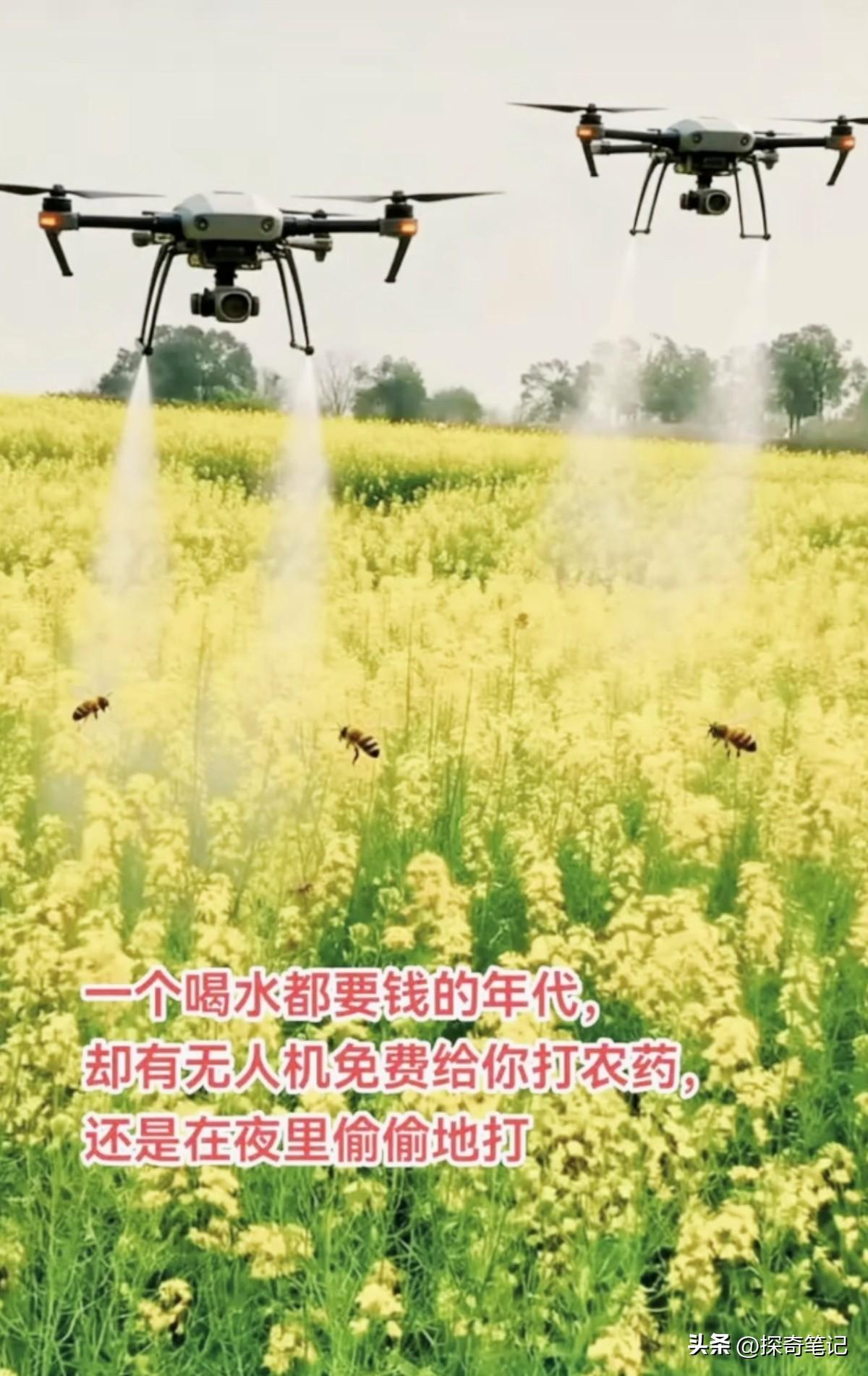 你说这事儿怪不怪？农民自己种的地，却有人不打招呼就开着无人机来洒药。人家户主都说