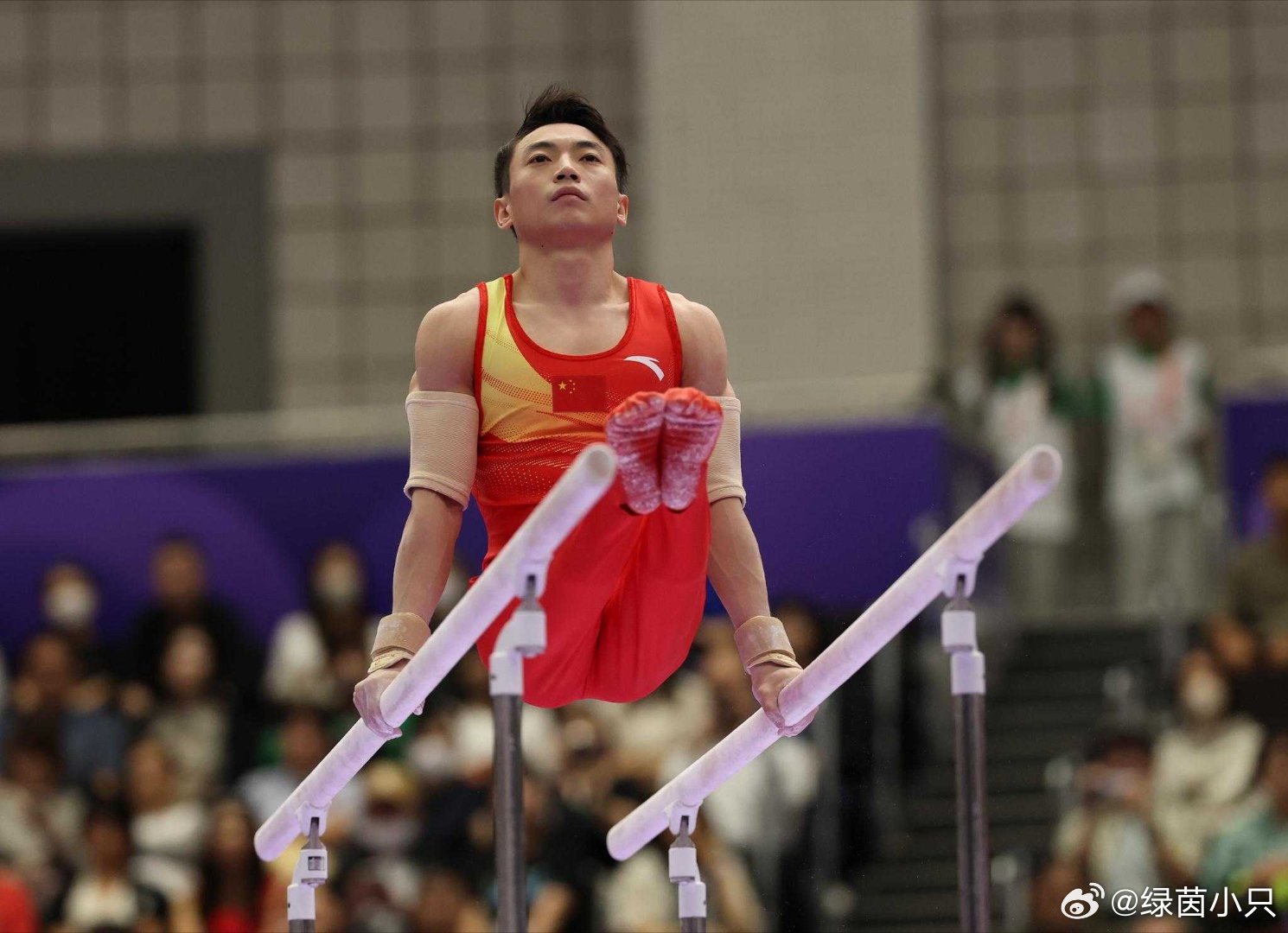 中国男女队双双晋级体操决赛 体操世锦赛：中国女队资格赛居首 男女队晋级团体决赛当