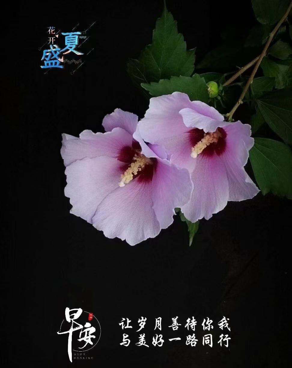 我们这边称爸爸的姑姑叫姑奶奶，妈妈的姑姑叫姑姥娘！