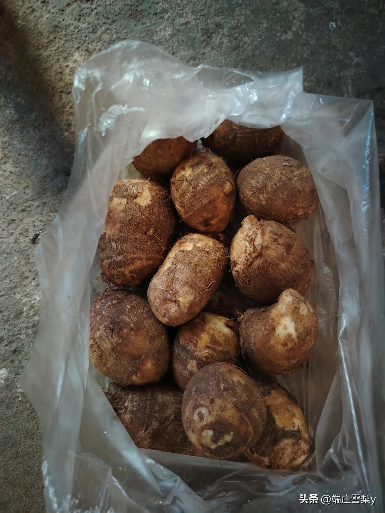 前两天无意中念叨一句：这个季节芋头有卖的了吗？想吃芋头了。老公就放在心上了，昨天