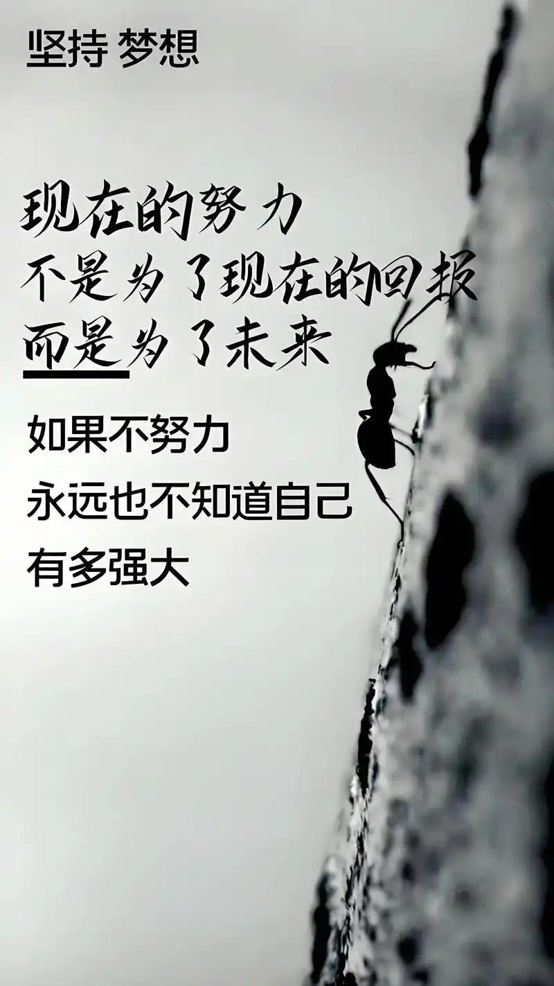沉淀自己，默默努力，时间自有答案。

风雨里做个大人，阳光下做个小孩。