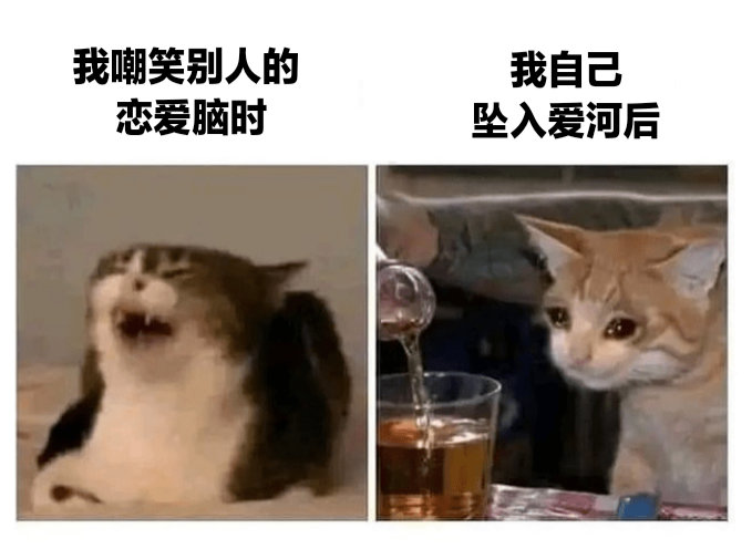 哈哈是我 ​​​