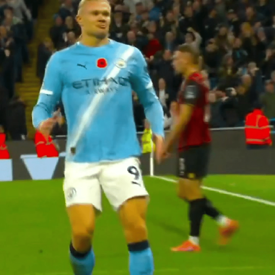 🤖机器人🤖·哈兰德 🤖 ​​​