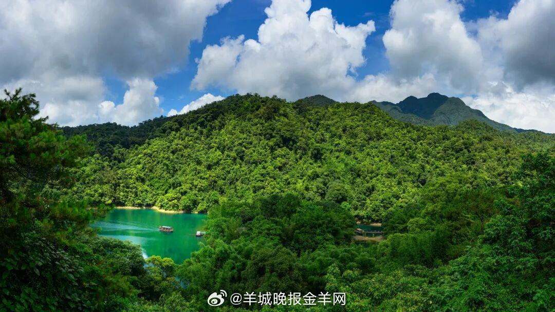 #早安#每一次坚持，都是在为未来积蓄力量；每一次打磨，都能让目标变得更清晰。 