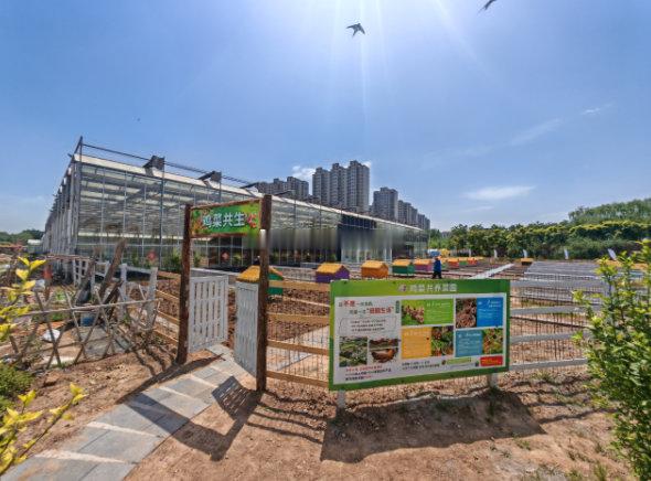 太原共享菜园打造休闲农业新场景  近年来，随着都市休闲农业快速发展，“共享菜园”