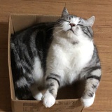玲悦热说房产