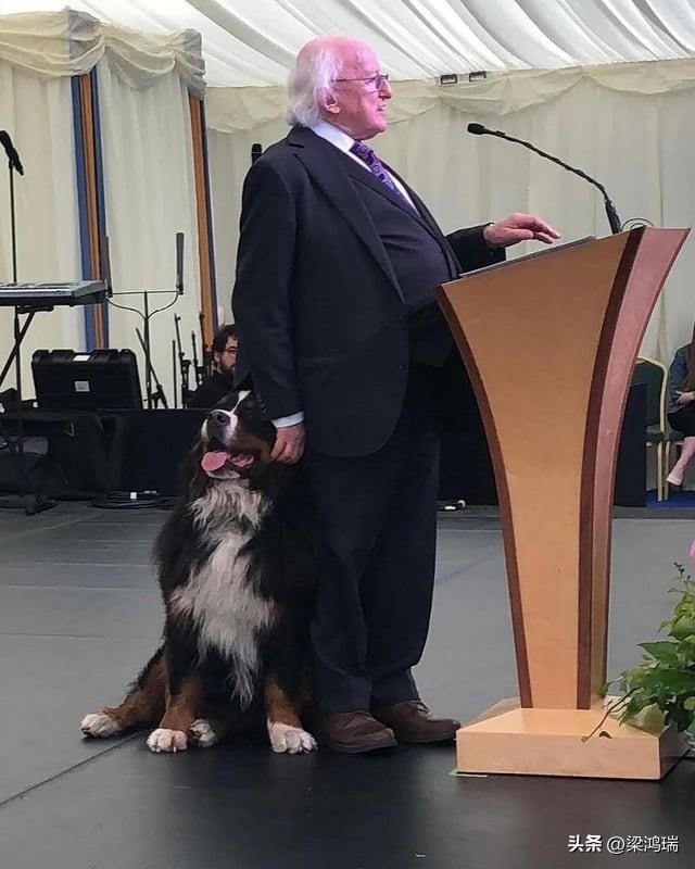 爱尔兰总统迈克尔·D·希金斯（Michael D. Higgins）经常带着他的