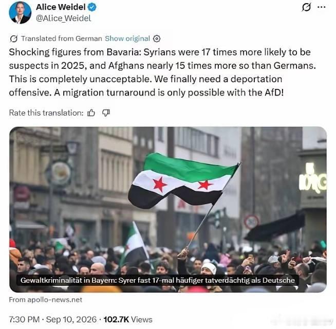 德国AFD领袖Alice Weidel发布非法移民犯罪的惊人数据：巴伐利亚州惊人
