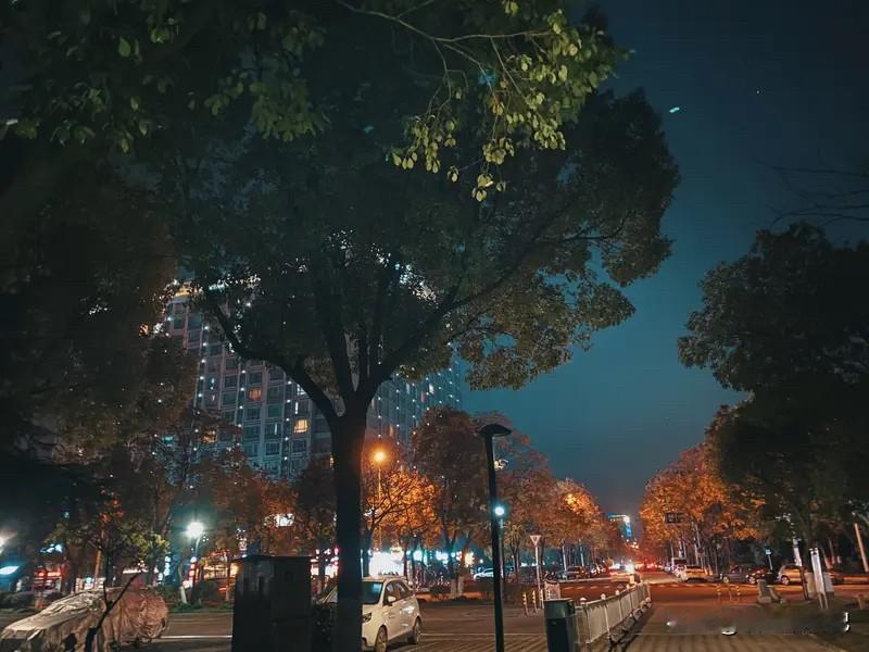 凌晨十二点，世界安静得只剩下心跳。
白天假装坚强，夜里才敢卸下所有伪装。
有些情