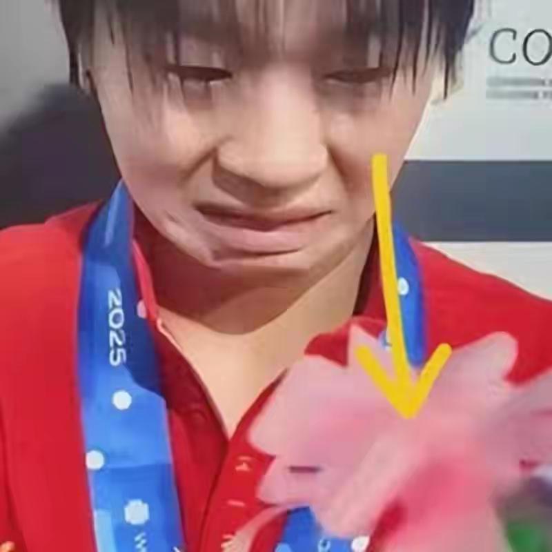 “金牌先就位，央视三连击！”全红婵时隔183天复出，四天拿金，央视24小时内连发