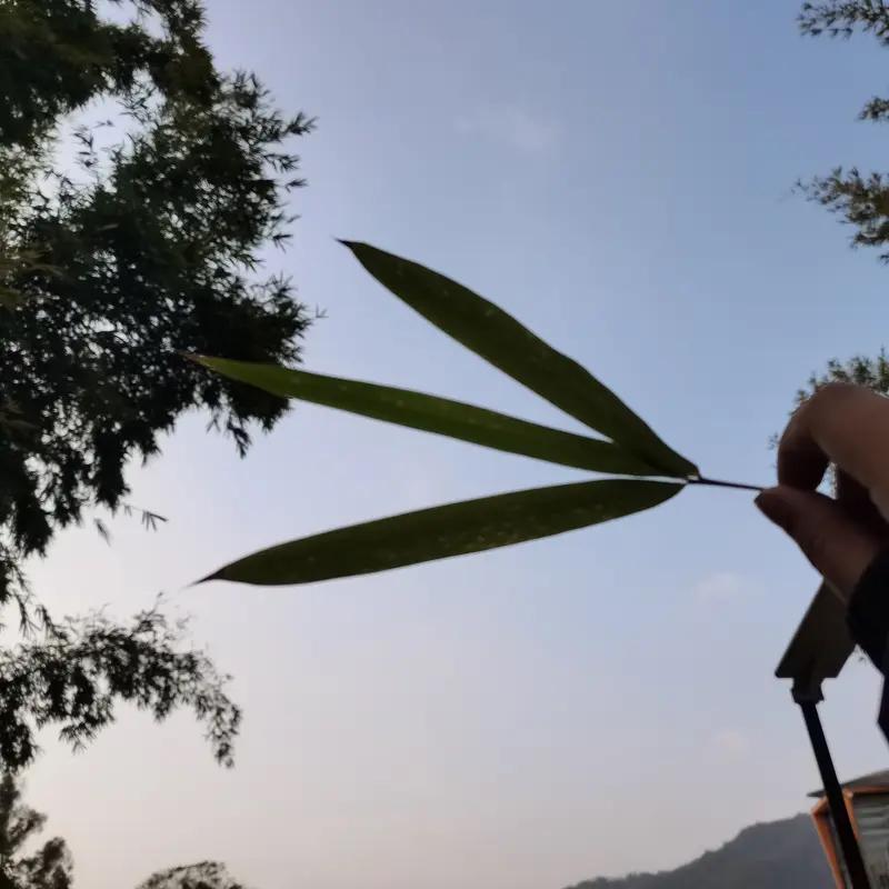 “凡事发生皆有利于我。”