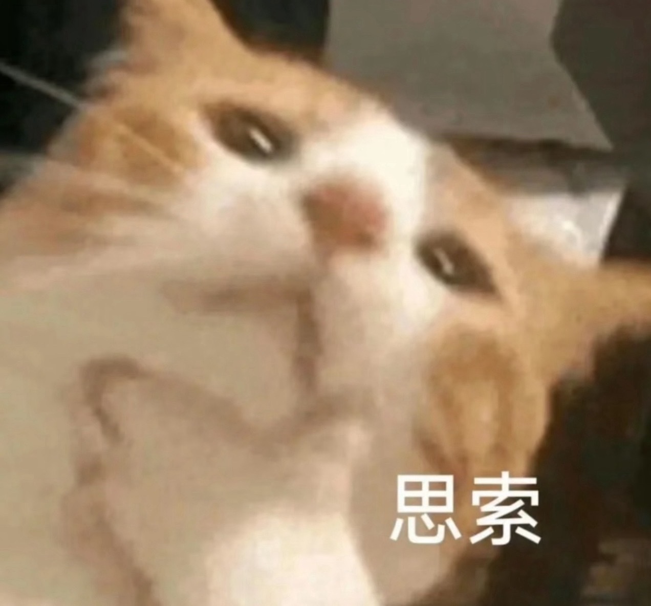 【🦔叨叨乐】宝宝们早上好！大家觉得新装修后的主场怎么样呀KPL