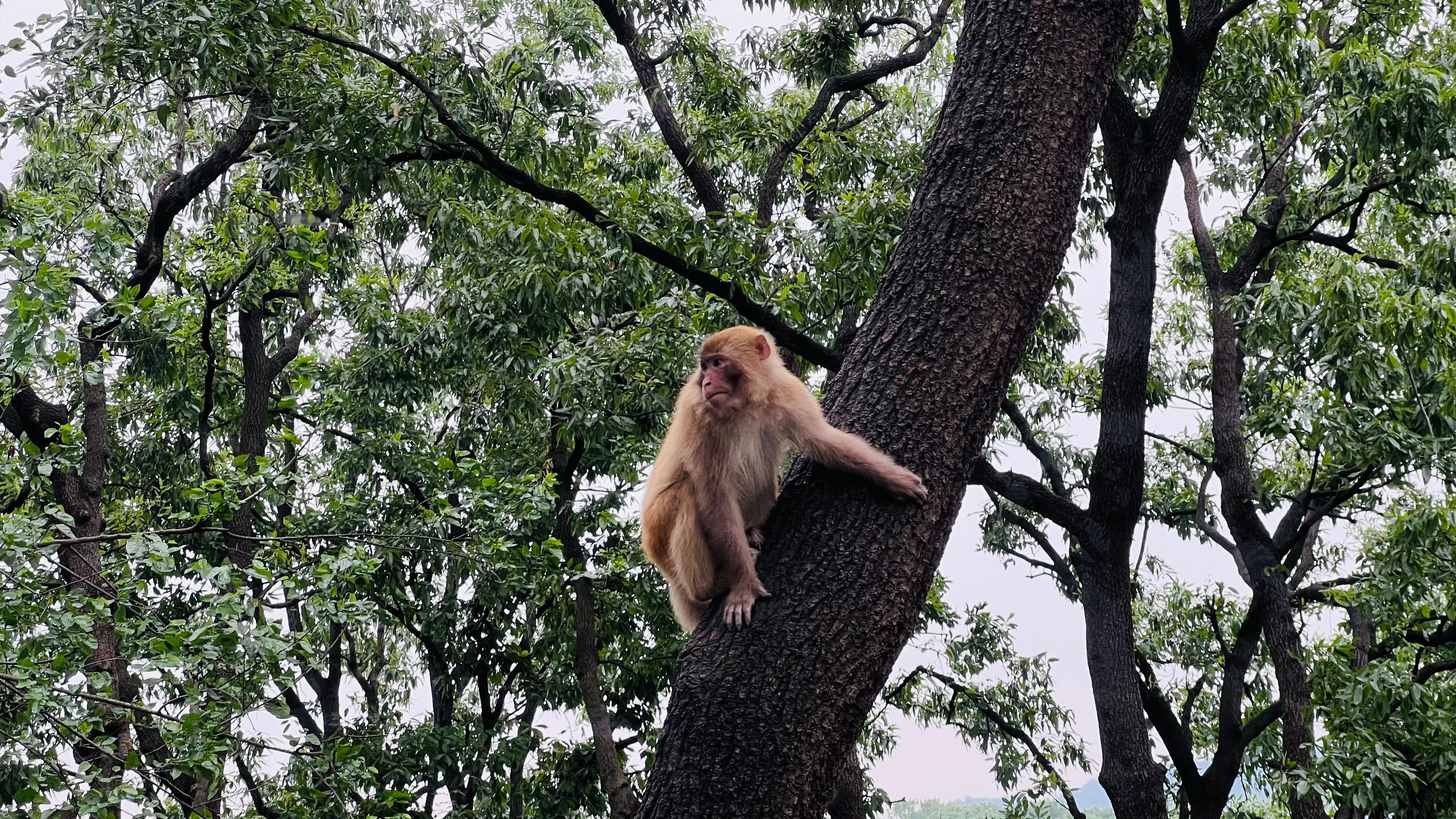 第34届信阳茶文化节 素有“豫南明珠”美誉的南湾湖，是信阳藏在山水间的诗意秘境。
