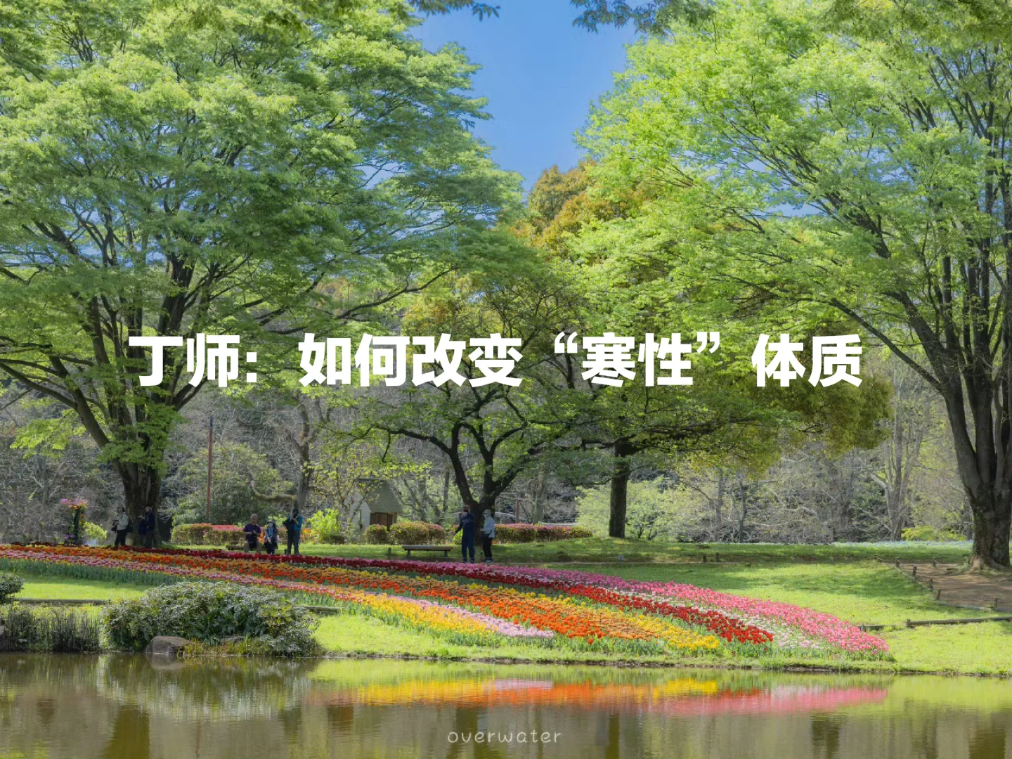 丁师：如何改变“寒性”体质