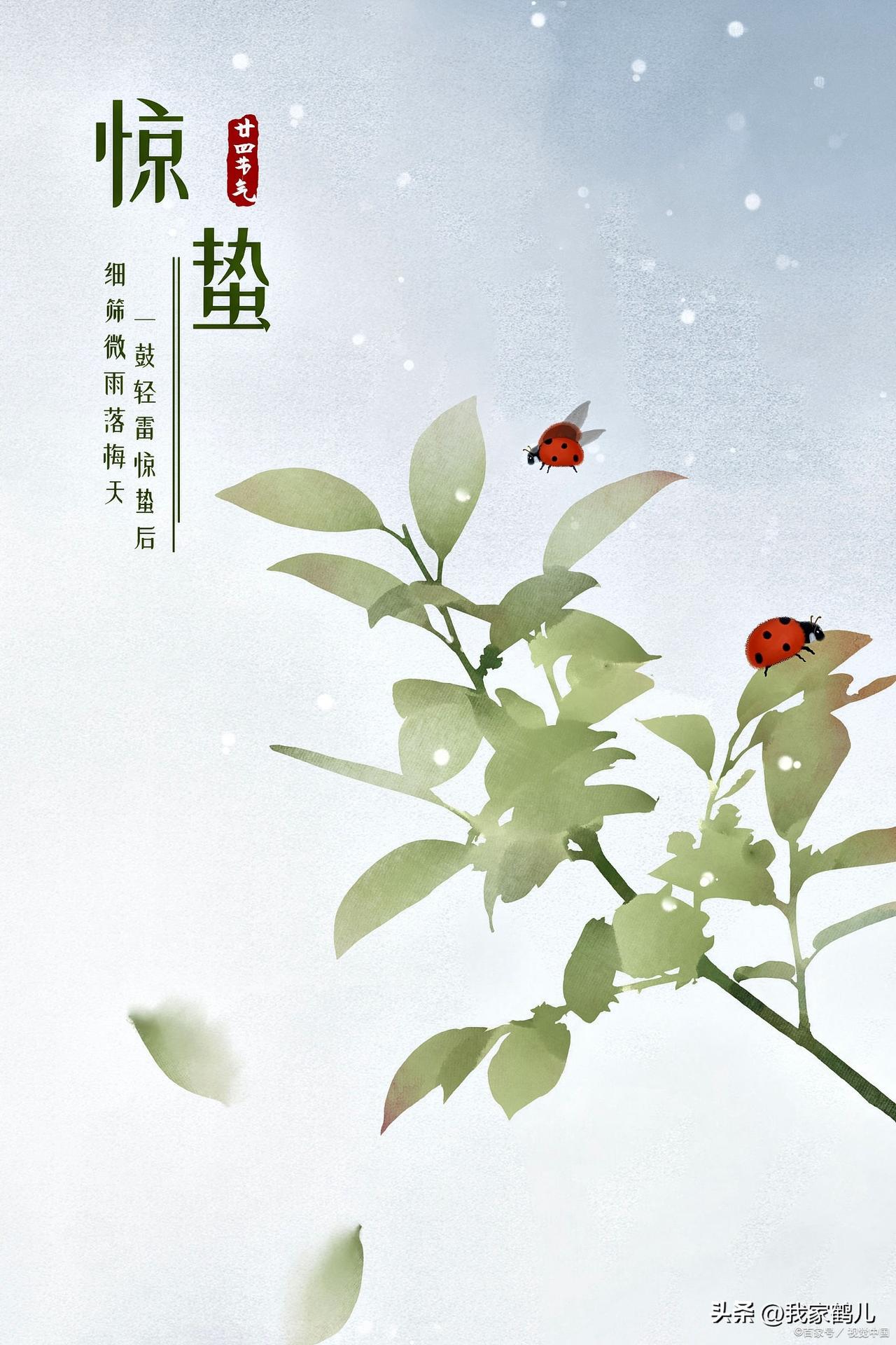 一、起居作息
- 早睡早起，顺应春阳生发，别熬夜（最伤肝）
- 早起开窗通风，惊