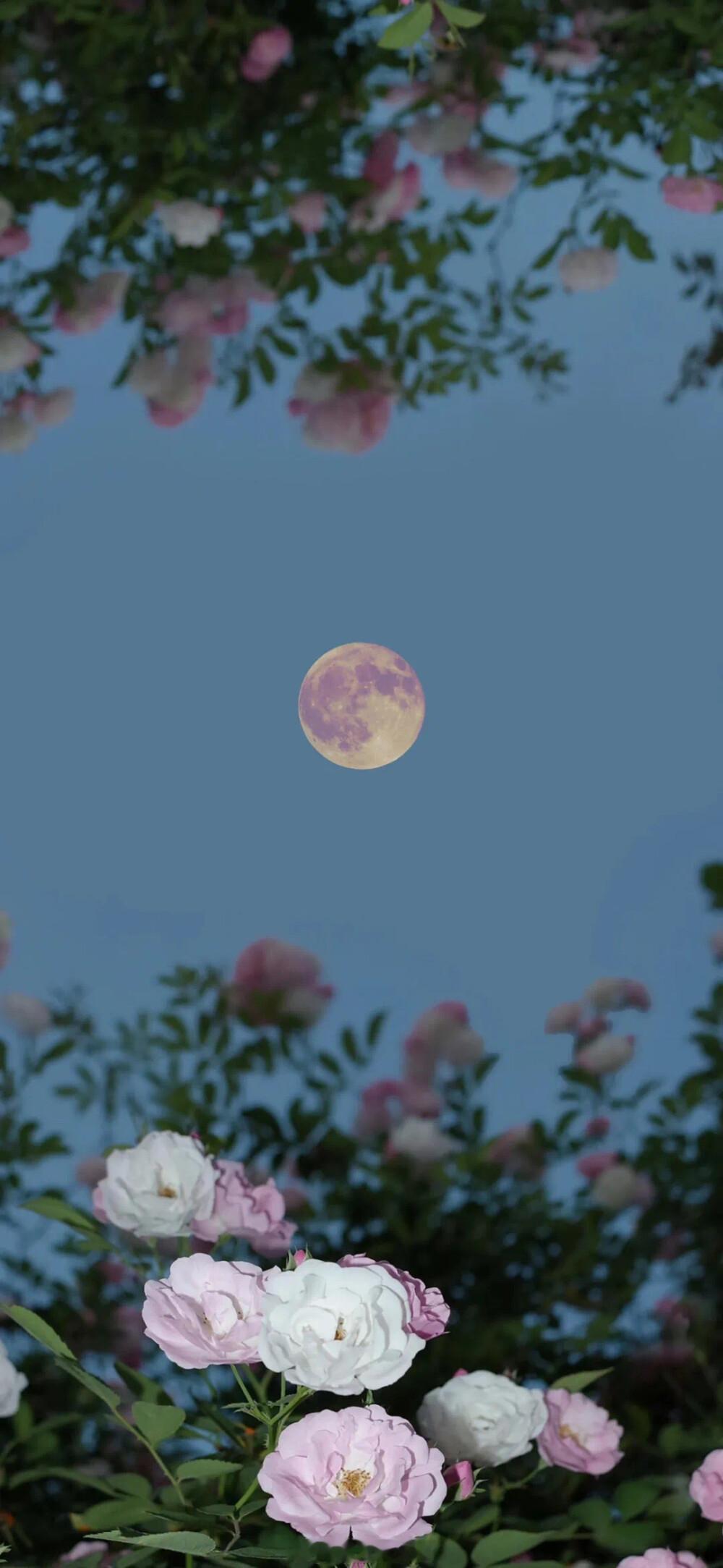 人的一生本来就是一场有来无回的冒险。——《残次品》早安 ​​​