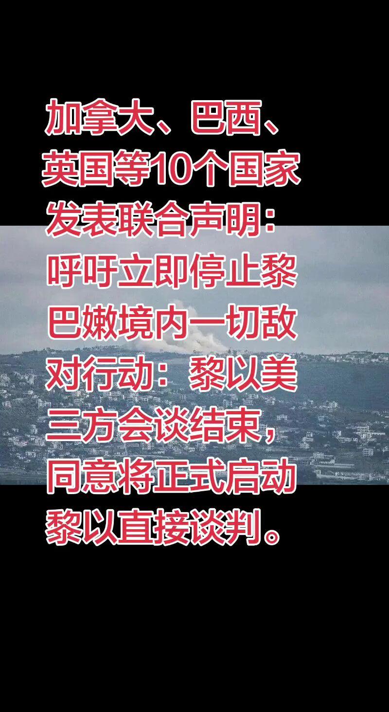 加拿大、巴西、英国等
10个国家发表联合声明：呼吁立即停止黎巴嫩境内一切敌对行动
