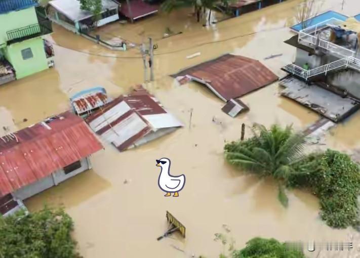 说真的！
我一点都不同情菲律宾！
原因很简单，看看美国这“慷慨”援助就懂了！
据