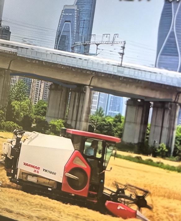 四个现代化终于实现了小时候写作文，最后一句为实践四个现代化而奋斗现在我们老了20